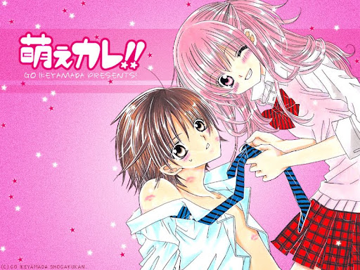 El Librero de Tetsu Hana: Moe Kare